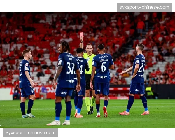 里尔主场2-0击败图卢兹，重返积分榜第三位